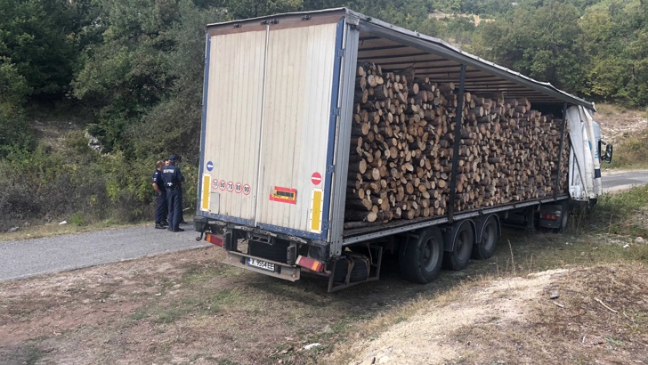 Човек от бизнеса: Дървената“ мафия не е във фирмитеВ Кърджали