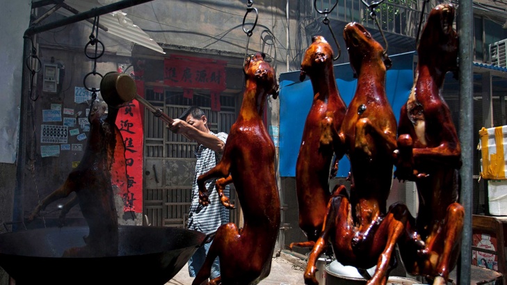 Южнокорейският съд постанови че убийствата на кучета за месо са