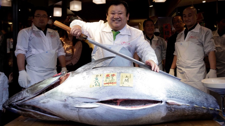 Риба тон за 3 1 млн долара бе продадена на търг