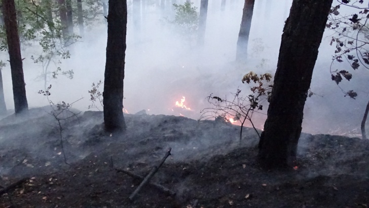 Пожарът над Княжево е напълно угасенПожарът над Княжево в местността
