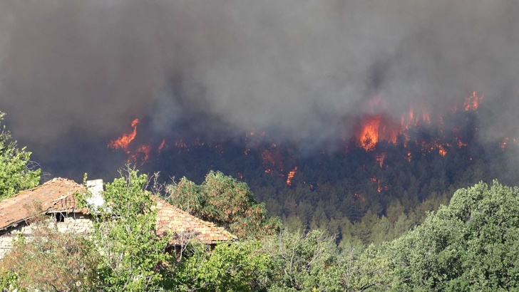 500 декара гора засегна огънят край Баня Пожарът, тръгнал в