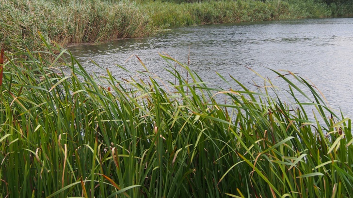 Критично е повишено нивото на река Велека при село Кости