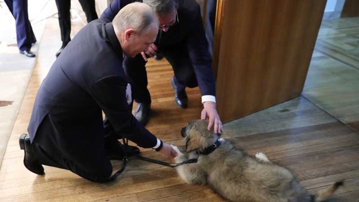 Вучич посреща Путин с кучеСръбският президент Александър Вучич подготви необичаен