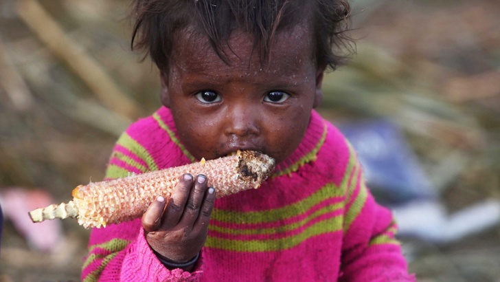 Доклад на ООН Броят на недохранените в света нараства