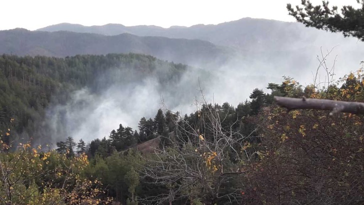 Два пожара в Родопите край Белица горят 100 дка борова