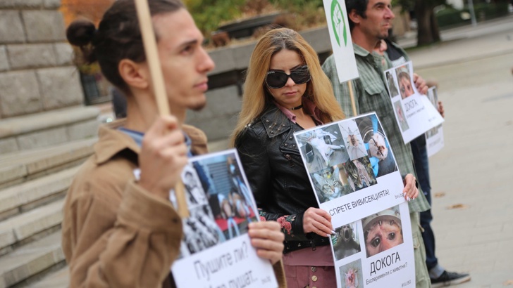 Вегани искат тотална забрана върху опитите с животниПредставители на Български