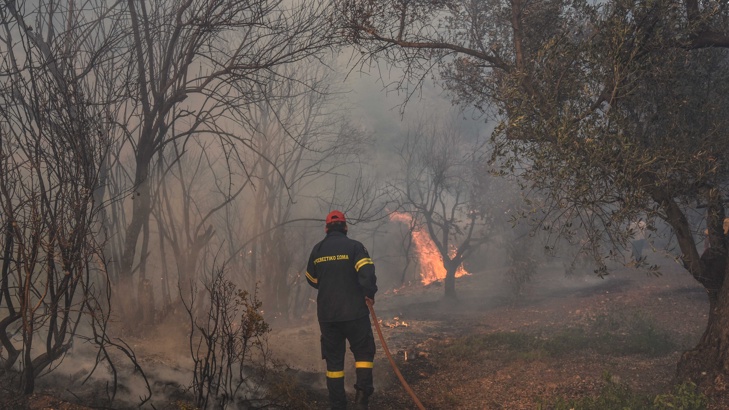 Отново горски пожари в Гърция Евакуирани са две селаГорски пожари