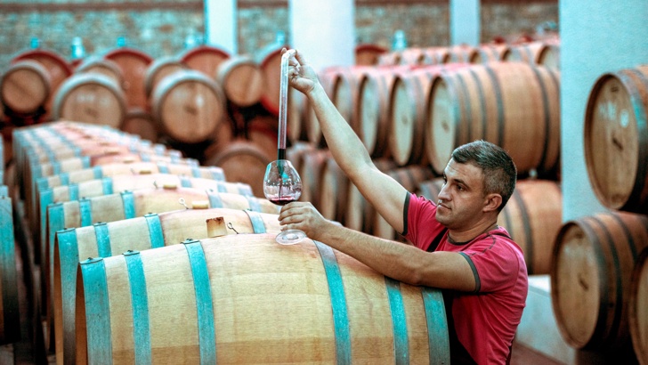 Пино ноар е едно от най-универсалните червени вина
