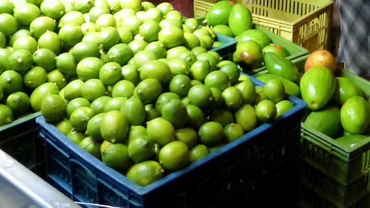 Авокадото присъства в храненето на много култури още от десетилетия