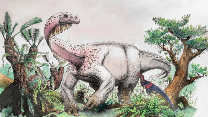 Мекотелите са по-стари от динозавритеУчените са проучили вкаменелости, купени от