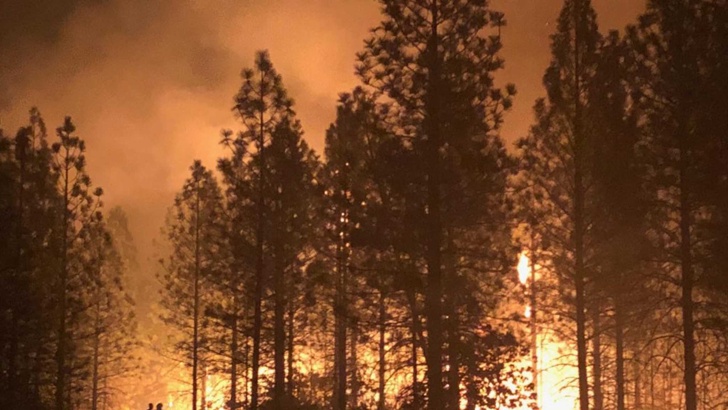 Щетите от пожарите в Калифорния надхвърлят 9 млрд долараПожарите които