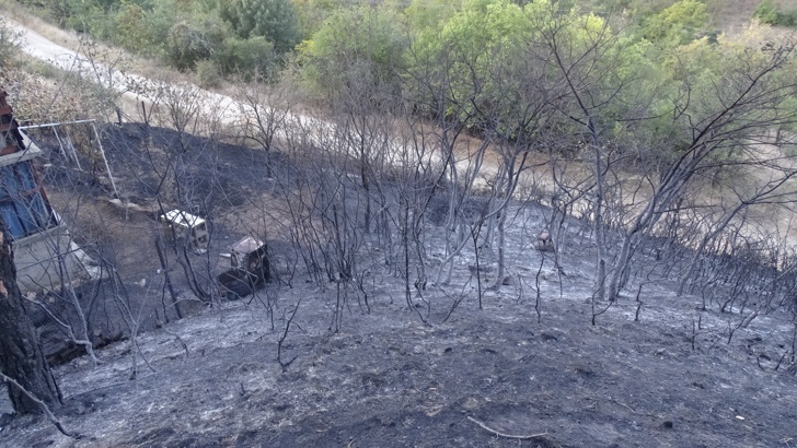 Пожарът в Благоевградско е овладянПожарът, който се разгоря във вторник