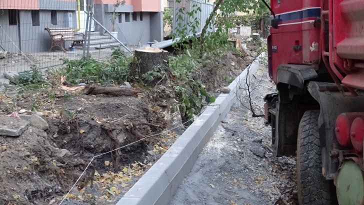 Сеч на 40 годишни дървета в Благоевград20 ина липи и чинари на