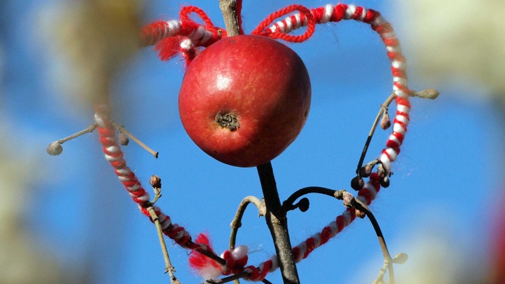 Ябълките са едни от най-полезните плодове