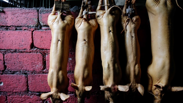 Адвокатите на Карлес Пучдемон постигнаха временна забрана на марката Pig