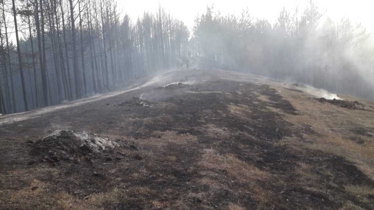 Локализиран е пожарът край с. Кузьово в Родопите