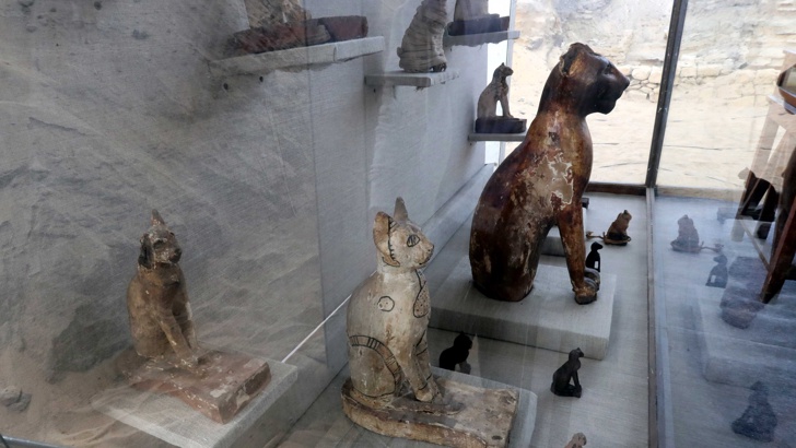 В Египет откриха гробници с мумифицирани животниАрхеолози откриха мумифицирани животни
