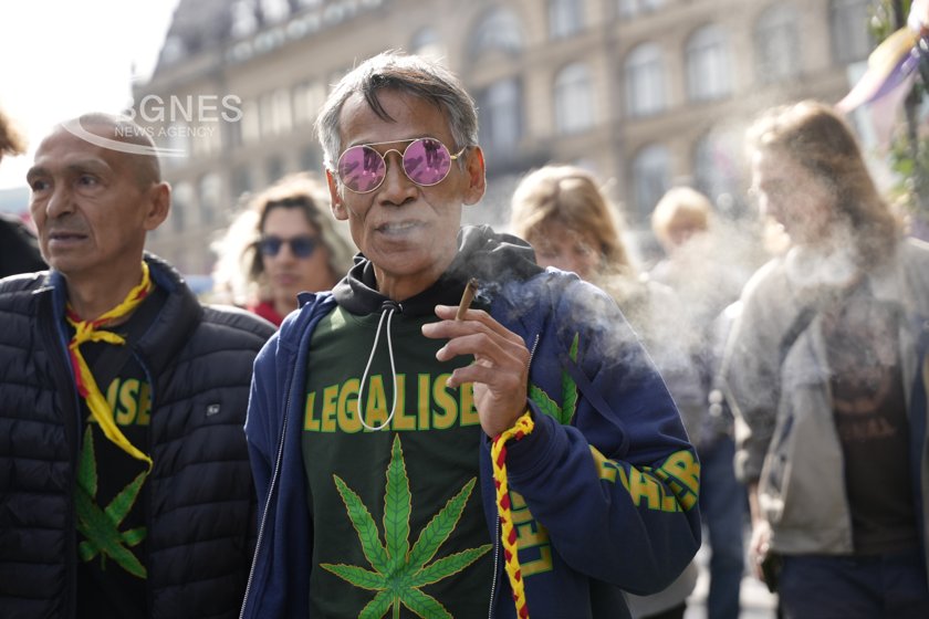Germany may legalize cannabis for personal use