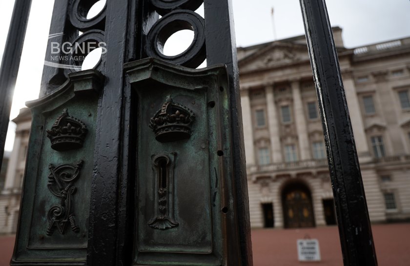 A car crashed into the gates of the Buckingham Palace