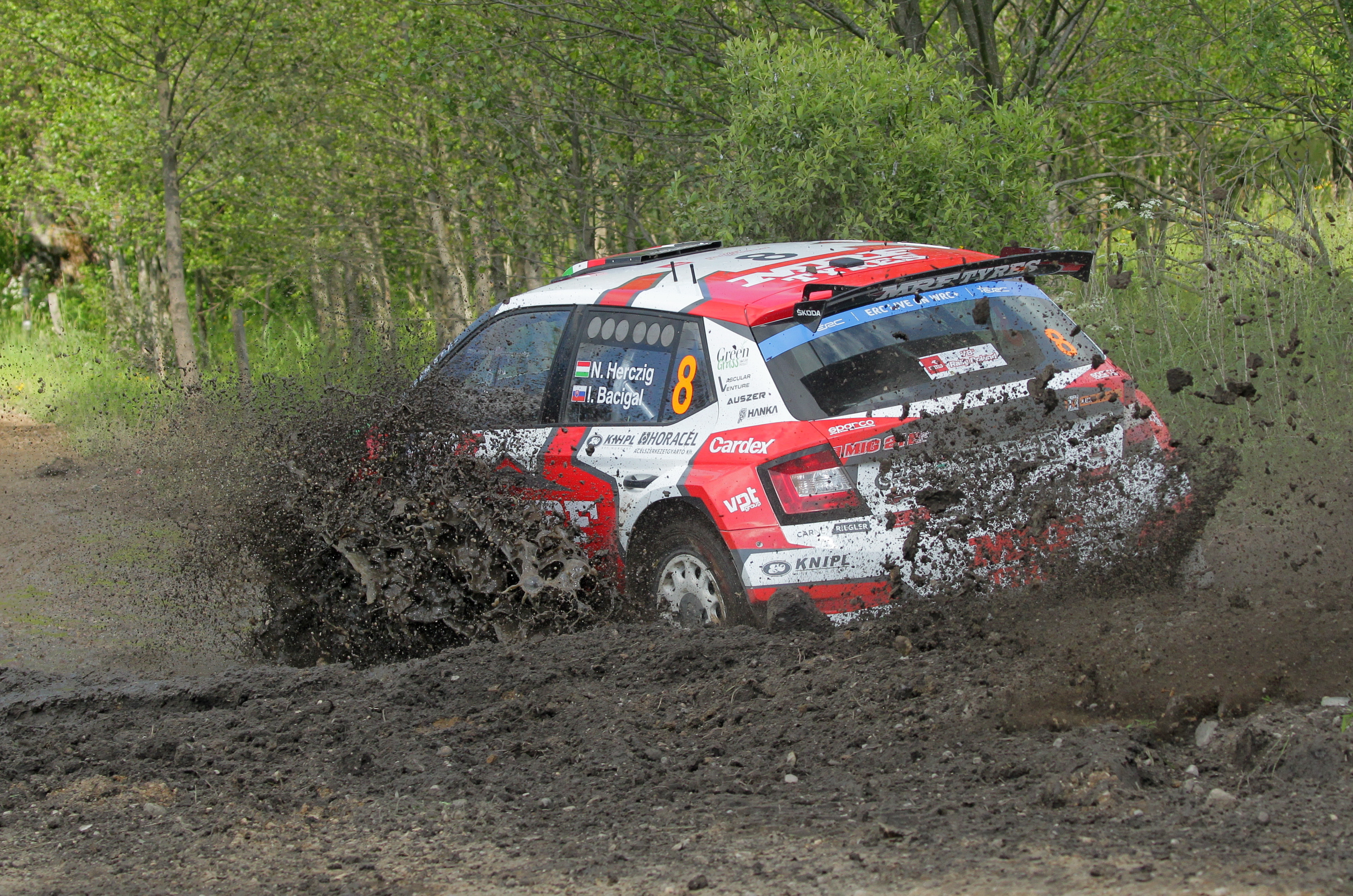 4 Killed In Hungary As Rally Car Slams Into Spectators