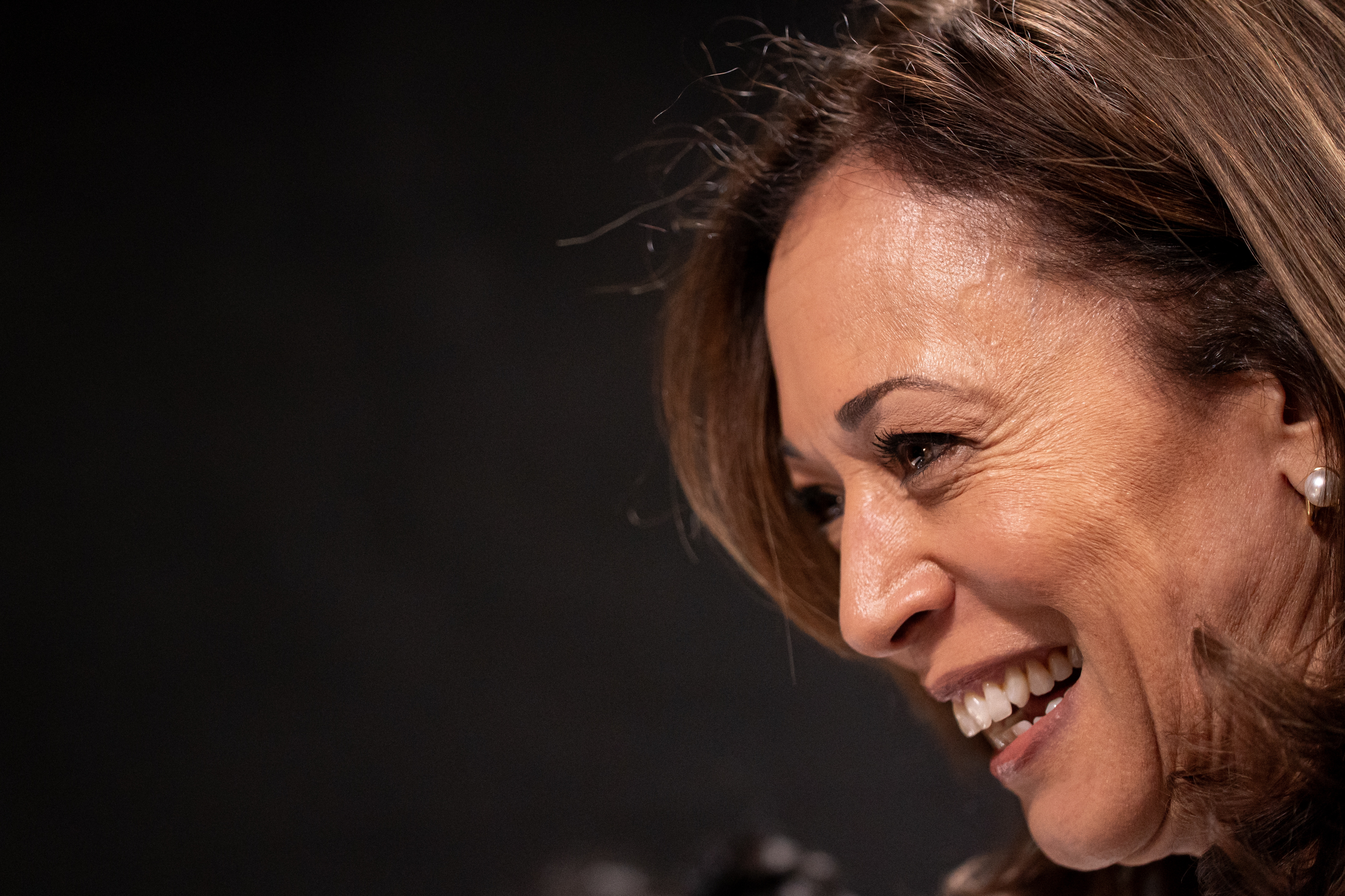 Prominent Democrats have endorsed Kamala Harris for President of the United States