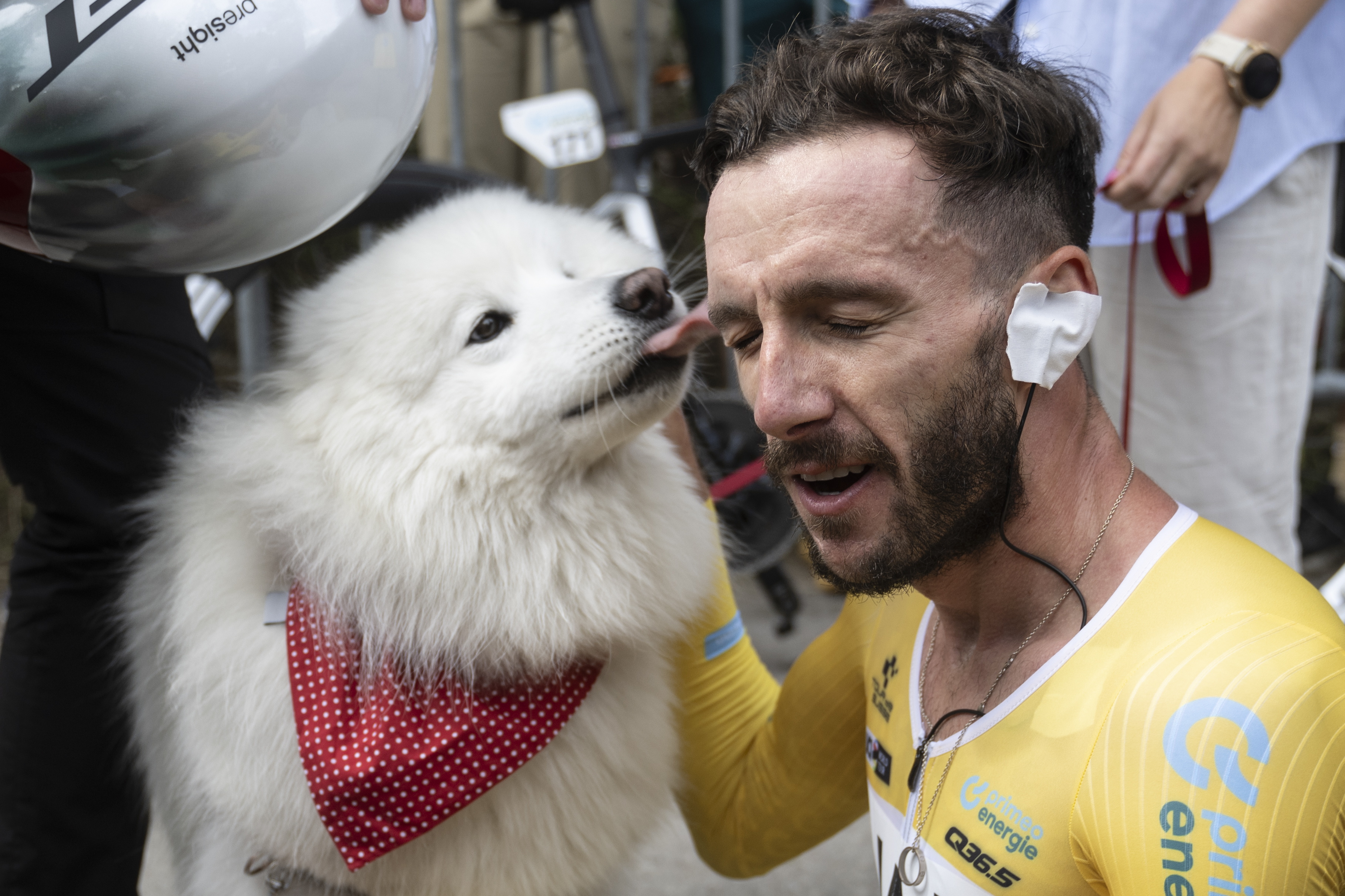 International Dog Day - we celebrate human's best friend today
