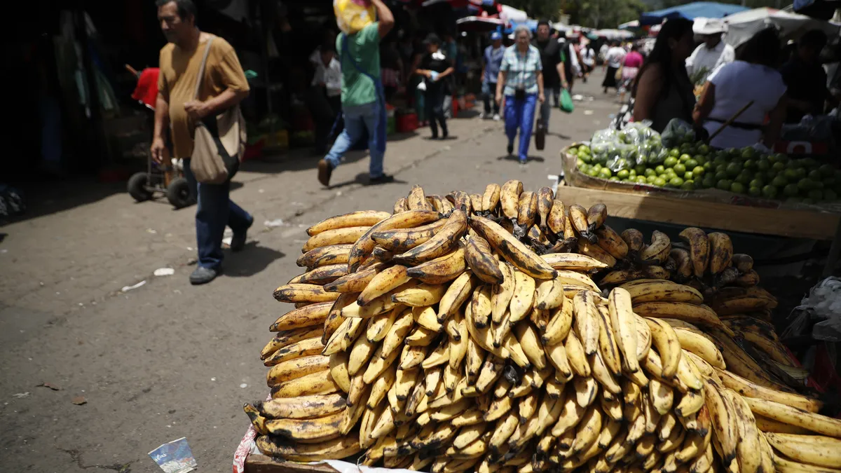 Bananas, oatmeal and yoghurt create diabetes risk in susceptible children