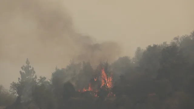 Israel asks Bulgaria for help in dealing with fire near Jerusalem 
