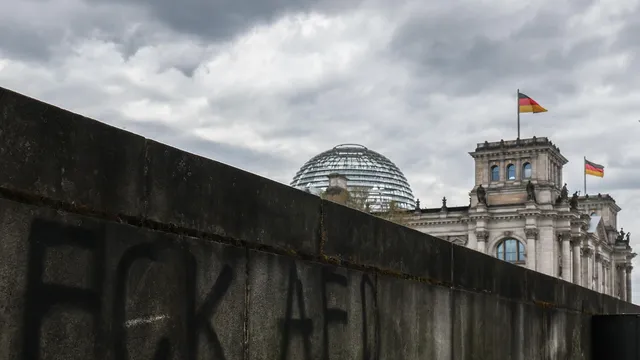 German intelligence has designated the AfD as a far-right extremist group