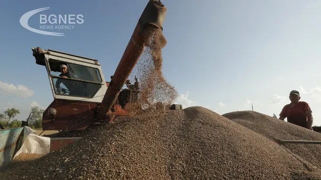 Ukraine's agricultural exports fell by 23.4% in April