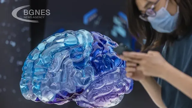  Technology and the brain: new evidence against the myth of digital dementia