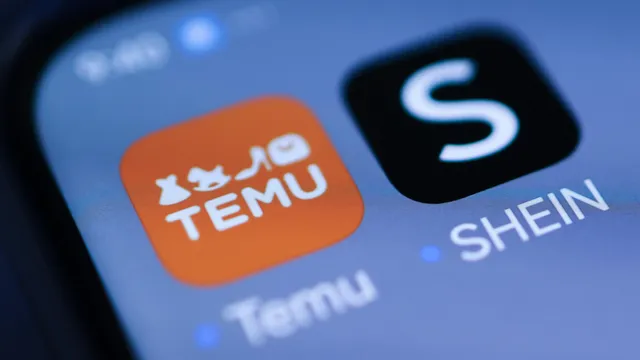 Temu owner reports drop in profits amid ongoing trade tensions