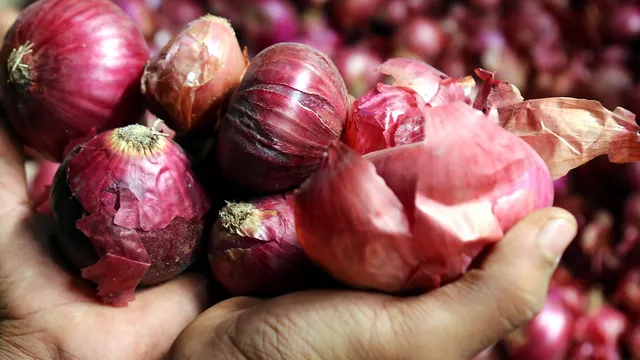 Red onion peel extract may lower blood pressure