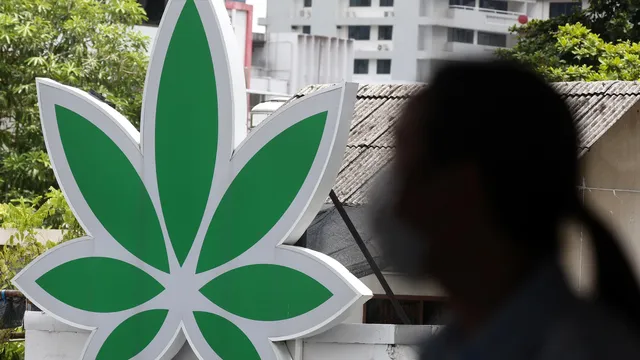 Thailand bans sale of cannabis without prescription