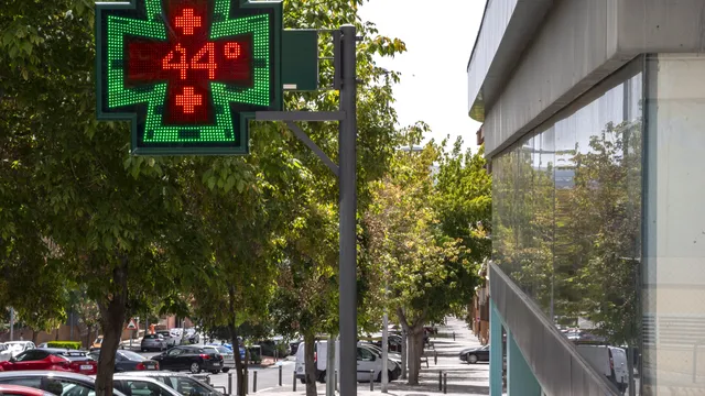 5 ways the heat can damage your health
