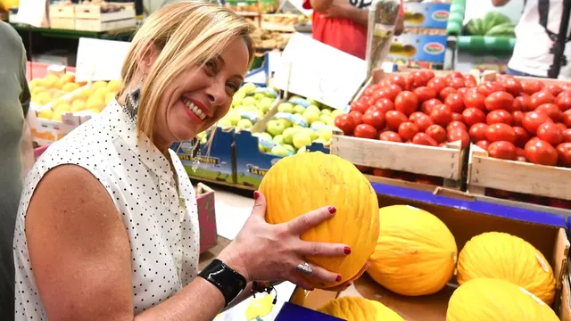 Melon is the ideal fruit for coping with the summer heat