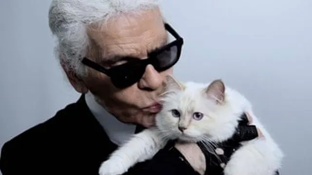 Six years after Karl Lagerfeld's death, his cat Choupette gets a job