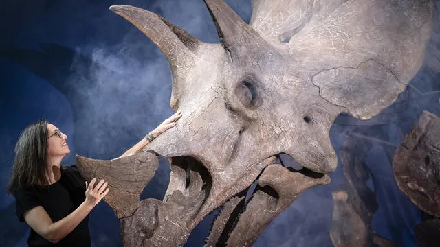 Denver dinosaur museum makes discovery under its own parking lot
