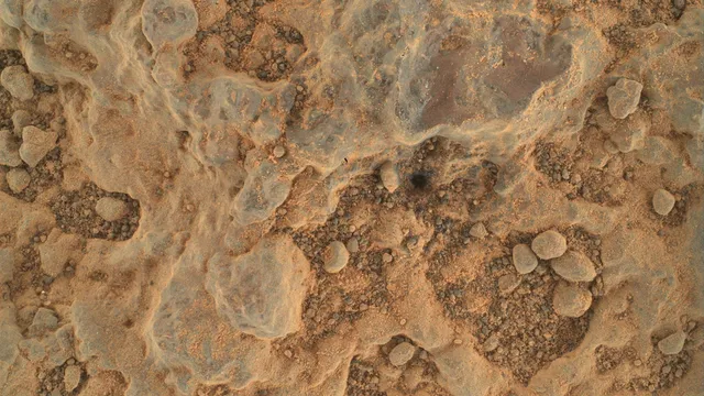 The largest piece of Martian rock ever found on Earth will be auctioned in New York