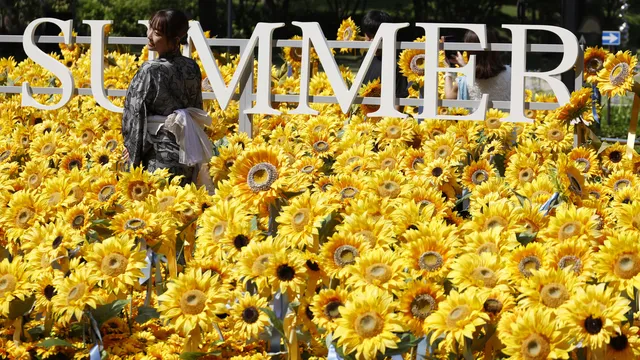 Japan experiences hottest July in history