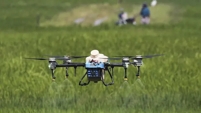 France cancels the return of a banned pesticide