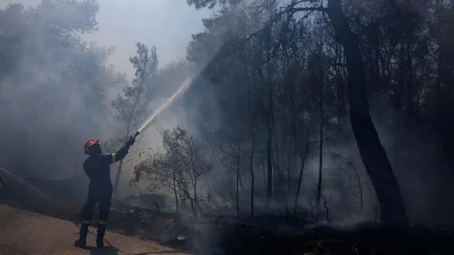 Greece requests EU aid to fight series of forest fires
