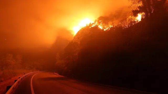 Fires destroyed a record area of land in the EU in 2025