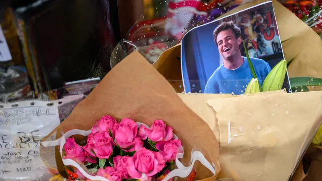 Ketamine Queen pleads guilty in Matthew Perry's death case