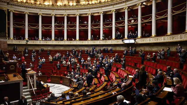 How will political instability in France affect the economy and investment? 