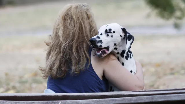 Dogs sense when we are sad, stressed, or happy