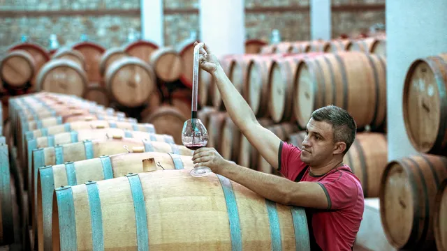 Italy to remain world's leading wine producer in 2025