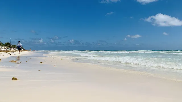 Strange balls made of seaweed have the potential to save the ocean from pollution