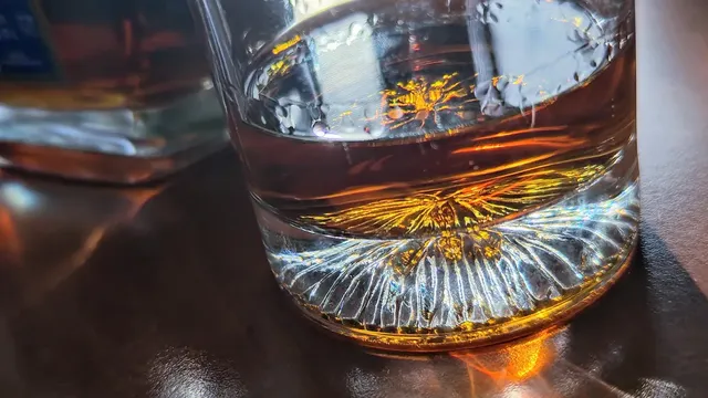 The attraction to alcohol is a result of human evolution, not a modern anomaly